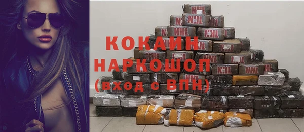 сатива Богородицк